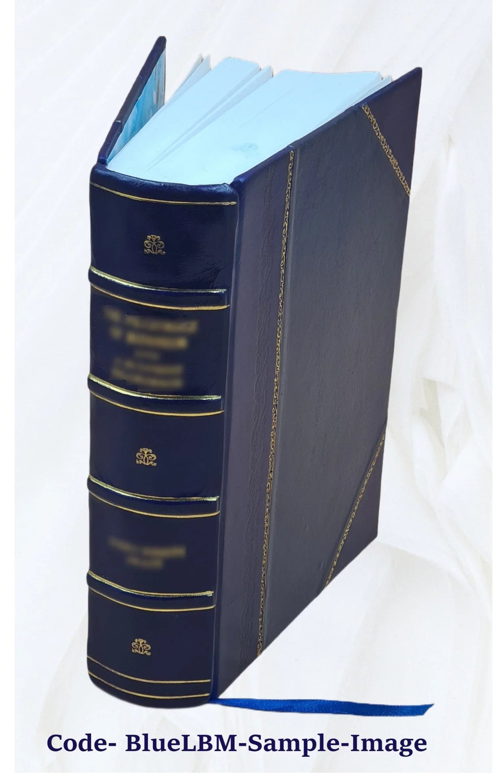 De claris Legum Interpretibus cura D.G. Hoffmanni. 1721 [Leather Bound]