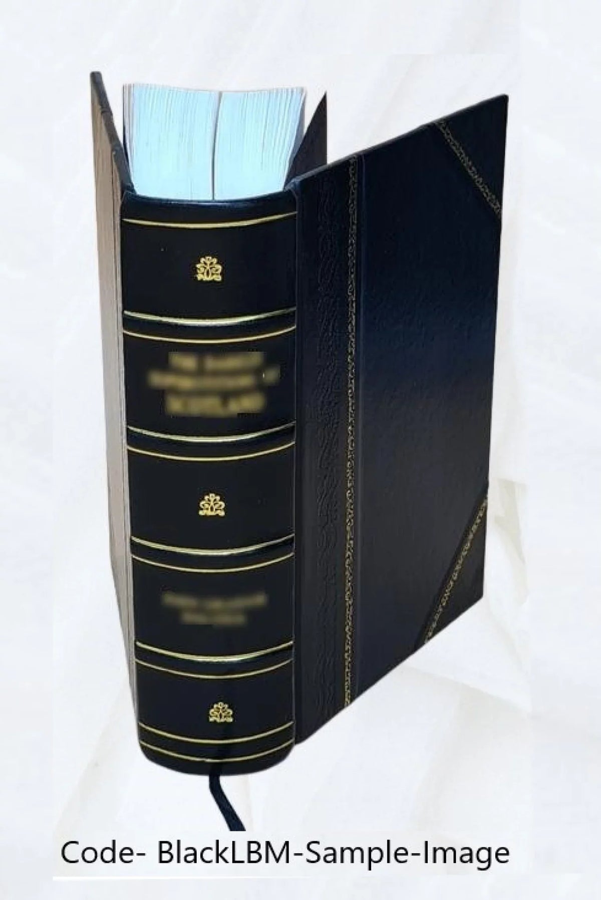 A text-book of human physiology : designed for the use of practitioners and students of medicine / by Austin Flint, Jr. 1886 [Leather Bound]