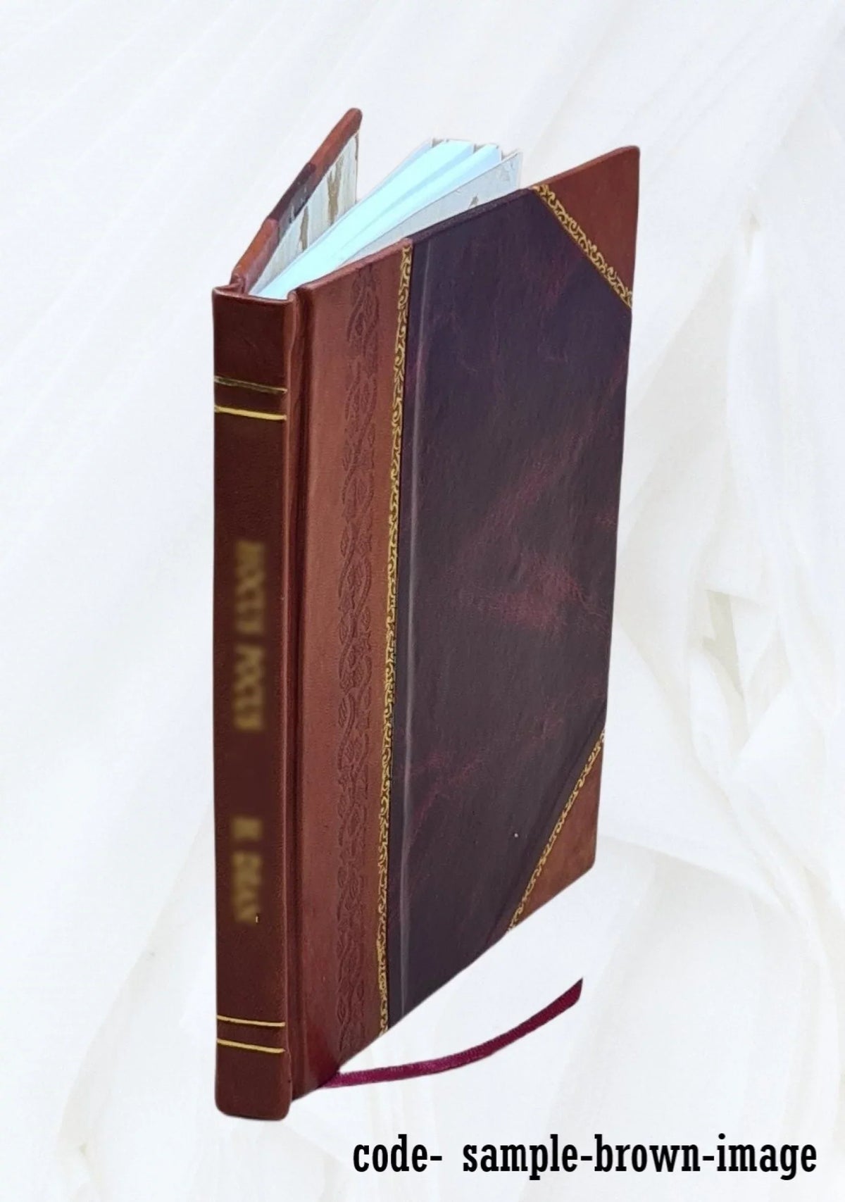 Die meistersingerbühne des seschzehnten jahrhunderts; ein versuch wiederaufbaus 1920 [Leather Bound]