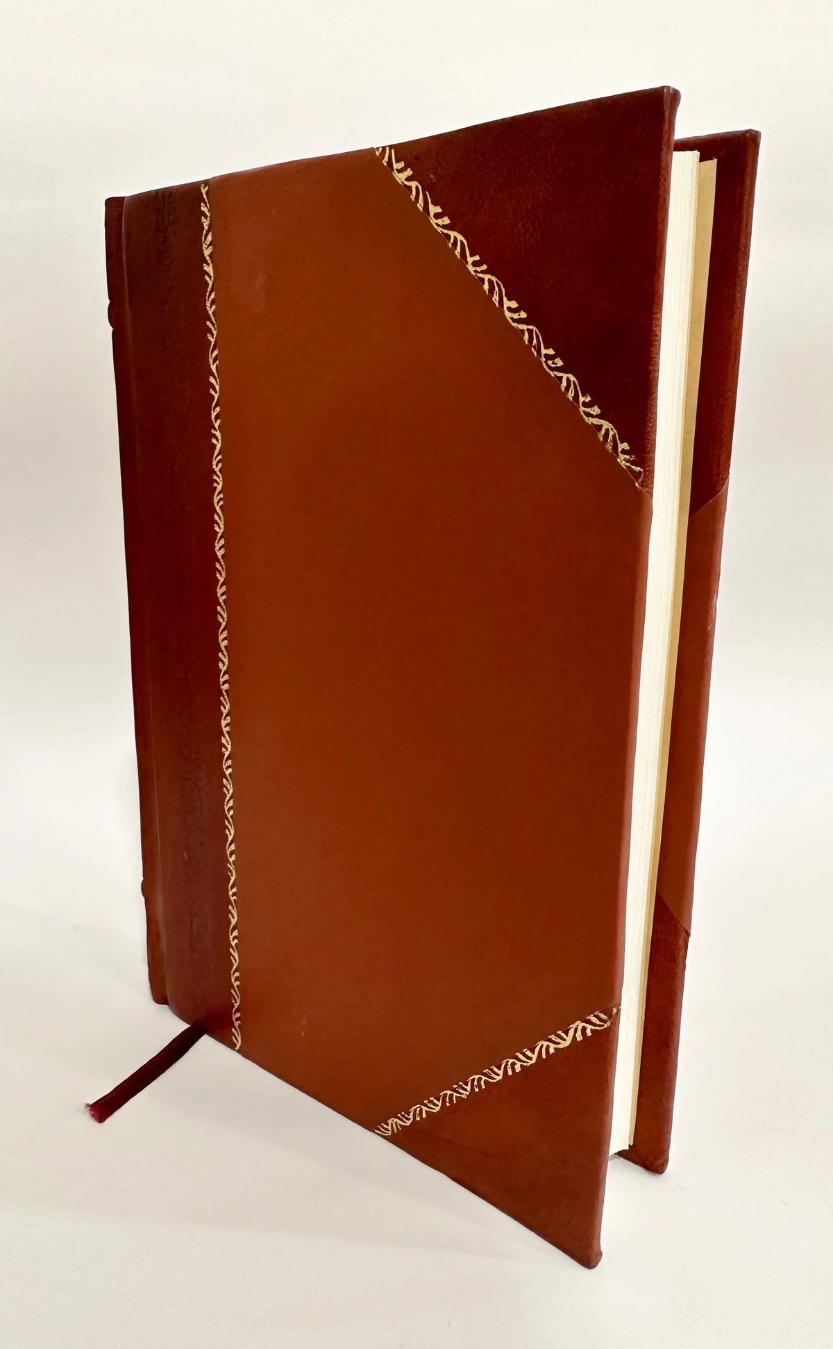 Princeps Plinianus. Sizeive Aphorismi Politici Ex C. Plinii Sizeecundi Panegyrico Ad Traianum Tetrastichis Reddit. Quibus Breves Dissertationes Accesserunt Autore Iacobo a Bruck (1616) [Leather Bound]