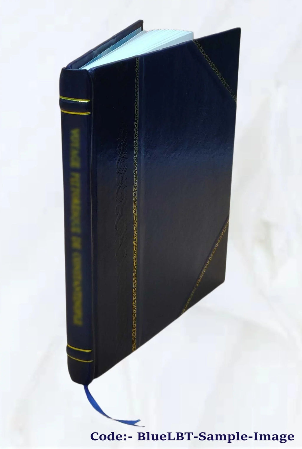 Die meistersingerbühne des seschzehnten jahrhunderts; ein versuch wiederaufbaus 1920 [Leather Bound]