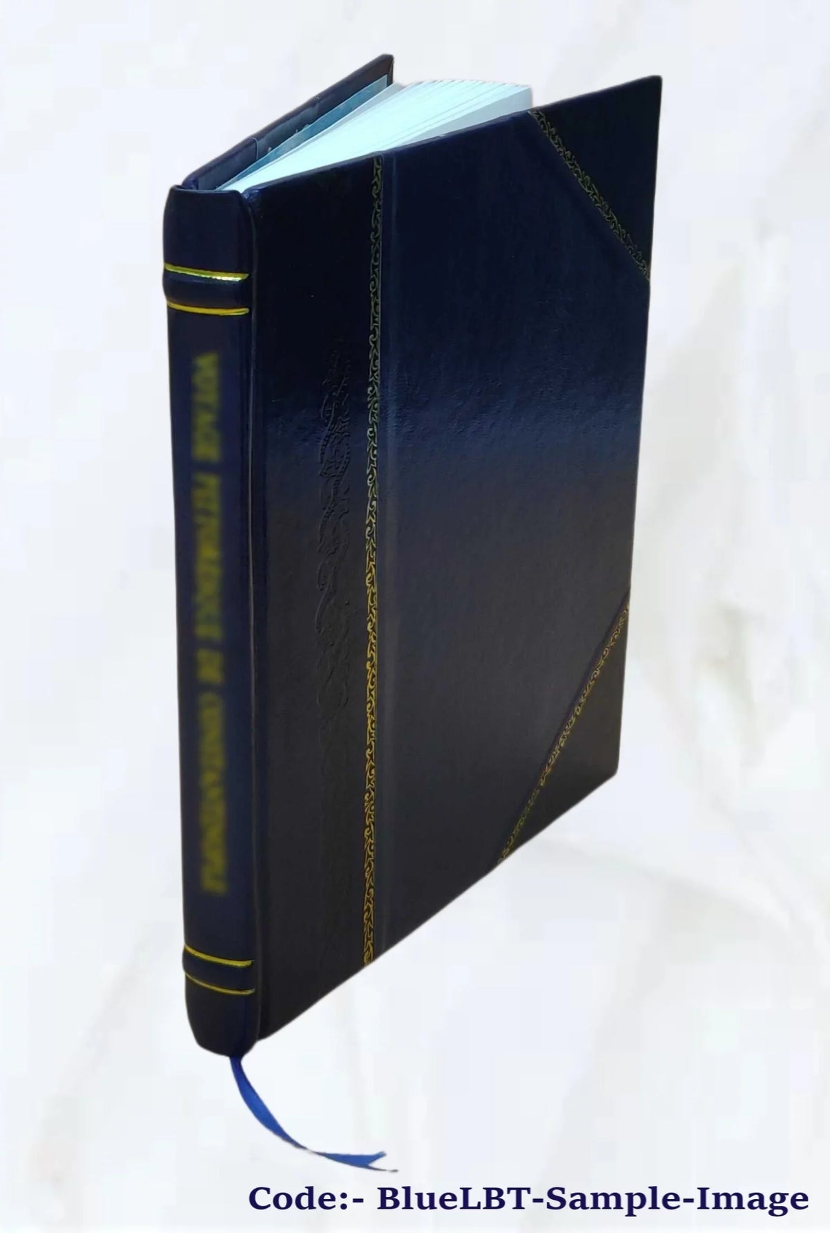 Die meistersingerbühne des seschzehnten jahrhunderts; ein versuch wiederaufbaus 1920 [Leather Bound]