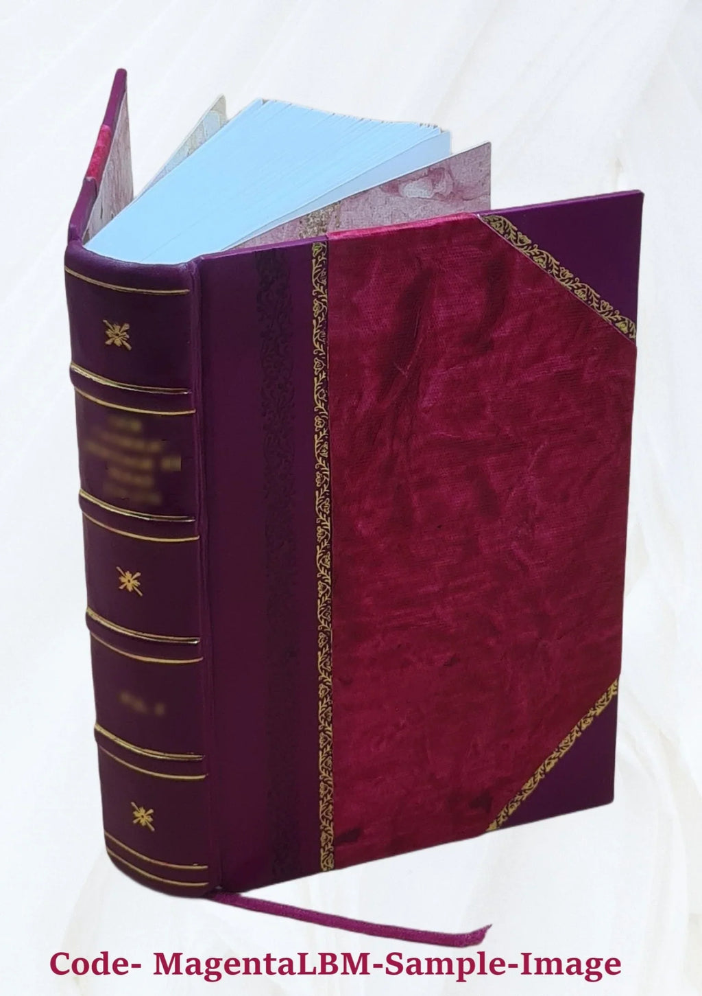 De claris Legum Interpretibus cura D.G. Hoffmanni. 1721 [Leather Bound]
