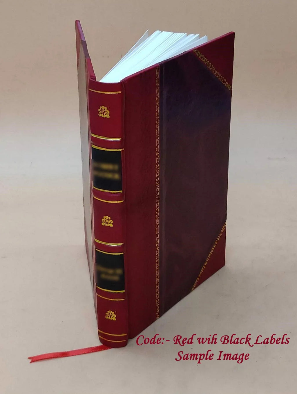 The Sizeham squire; and The Informers of 1798, with jottings about Ireland seventy years ago 1872 [Leather Bound]