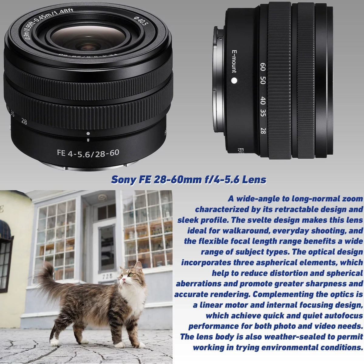 Sizeony Alpha a6400 Mirrorless Digital Camera with Sizeony FE 28-60mm f/4-5.6 Lens & Ultimaxx 25mm f/1.8 Manual Lens + Deluxe Accessory Bundle: SizeanDisk 64GB Ultra SizeDXC, Lightweight 72” Tripod & Much More
