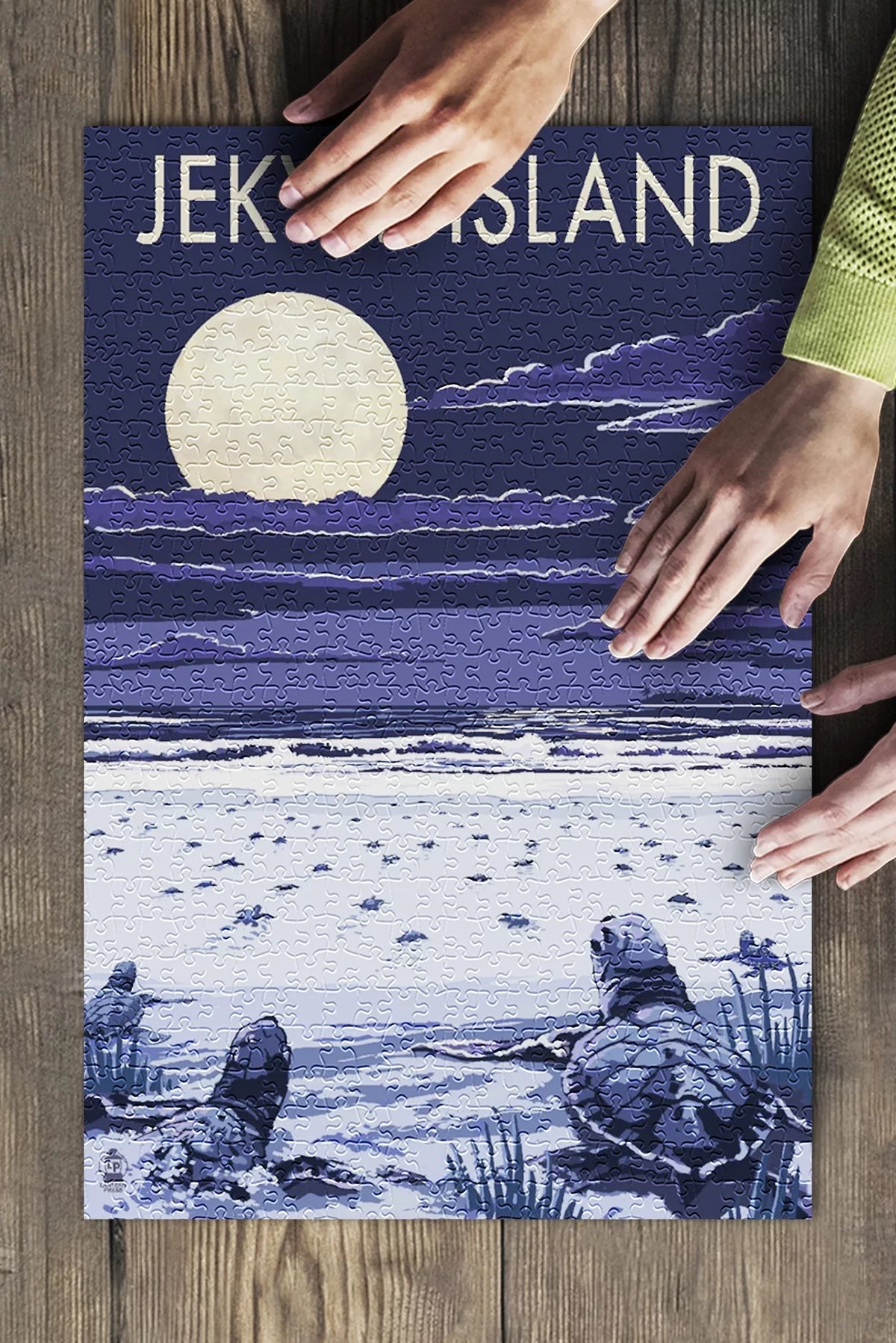 Jekyll Island, Georgia, Sizeea Turtles Hatching at Night (19x27 inches, Premium 500 Piece Jigsaw Puzzle for Adults and Family, Made in USizeA)