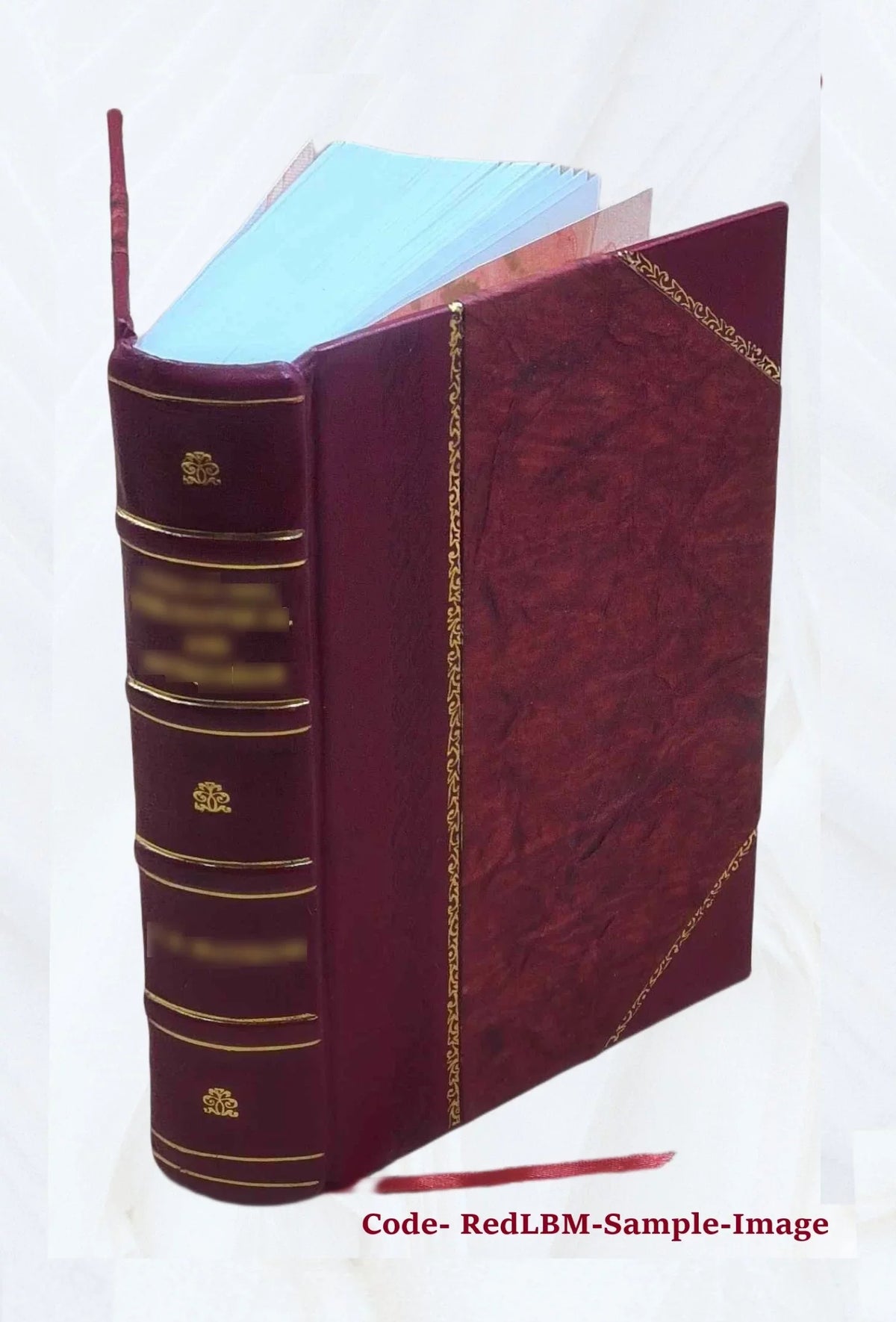 A text-book of human physiology : designed for the use of practitioners and students of medicine / by Austin Flint, Jr. 1886 [Leather Bound]