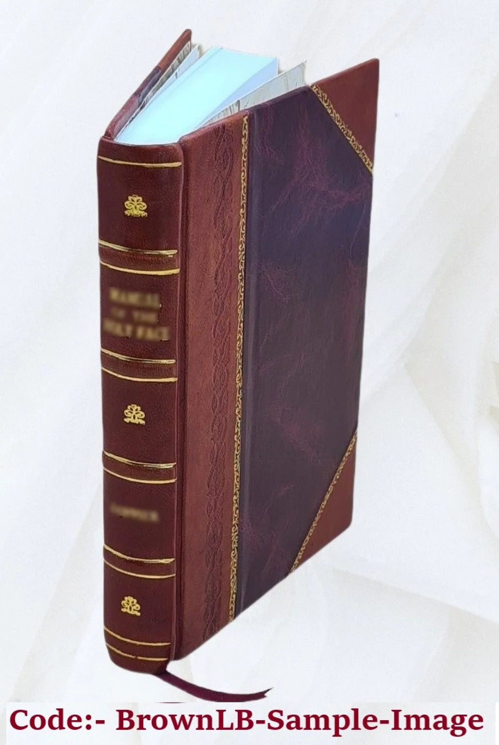 Catalogo della R. Pinacoteca di Milano (Palazzo Brera). 1892 [Leather Bound]